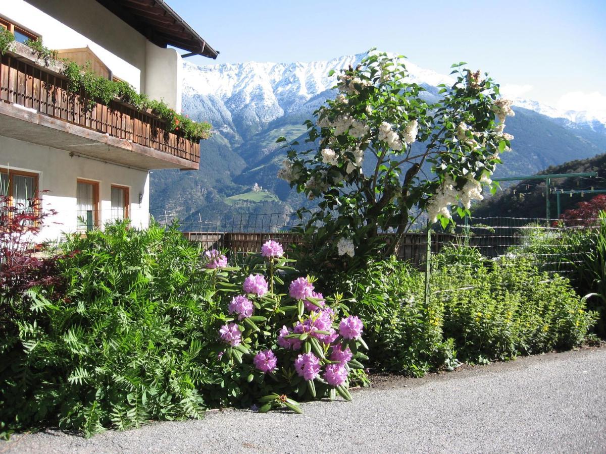Schlosshof Zu Montani Morter ภายนอก รูปภาพ